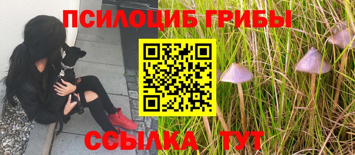 Псилоцибиновые грибы ЛСД  сколько стоит  Реутов  Вход с VPN 