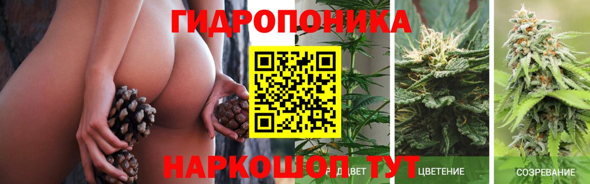 Бошки марихуана индика  Вход с VPN  Реутов  МАРИХУАНА гибрид  Марихуана VHQ 